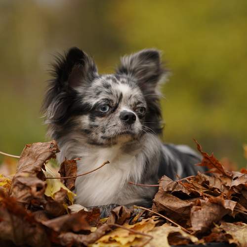 Photo #13405782
