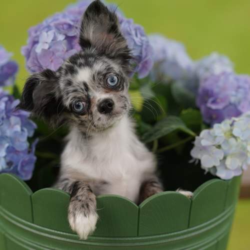 Photo #13405786