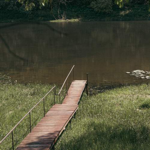 Photo #13405851