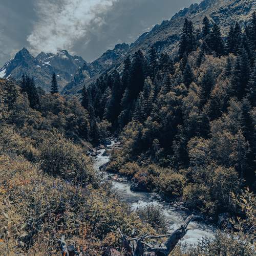 Photo #13405852