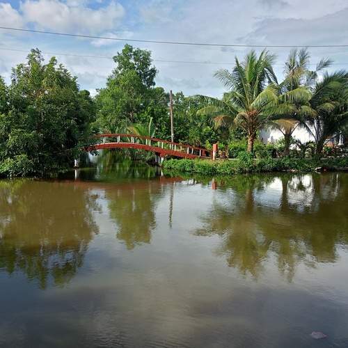 Photo #13405867