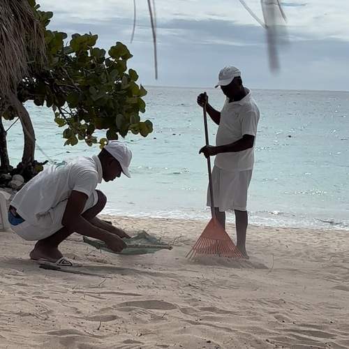 Photo #13405891