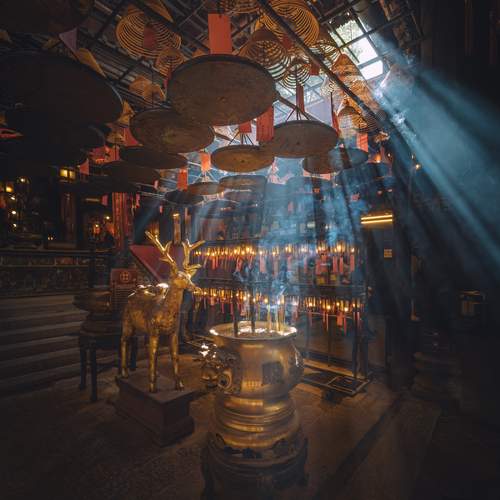 Фотография #13406067