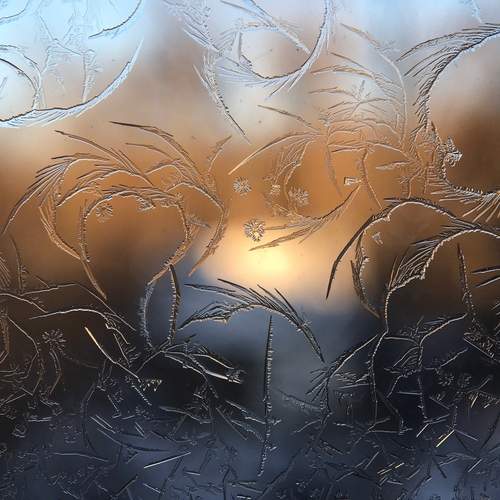 Photo #13406233