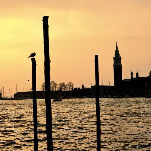 Photo #13406325