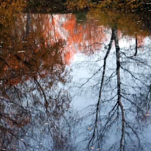 Photo #13406359