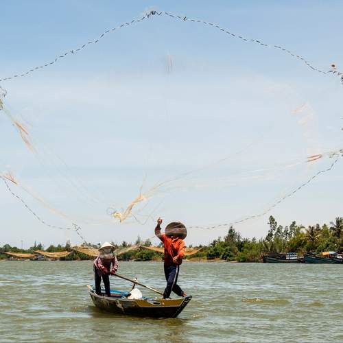 Photo #13406387