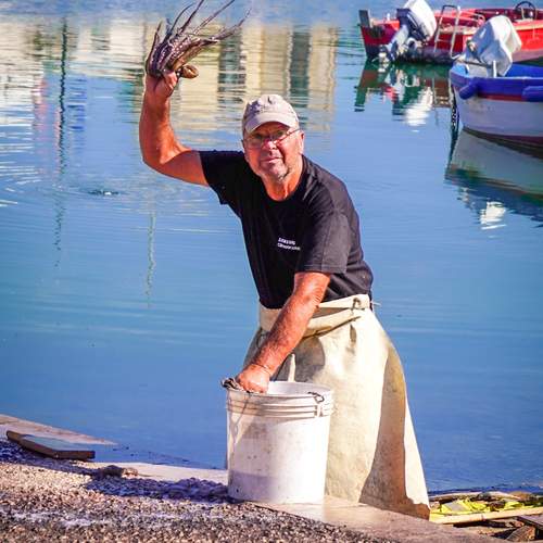 Photo #13406426