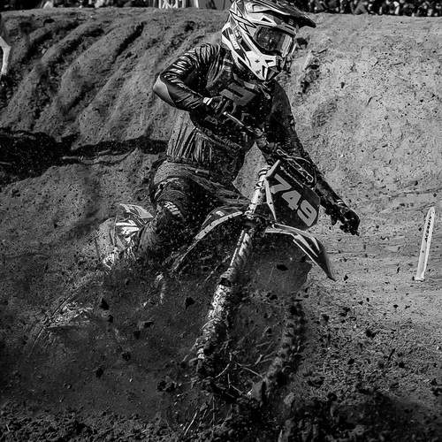 Photo #13406662