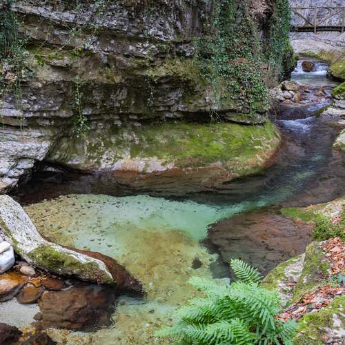 Фотография #13406757