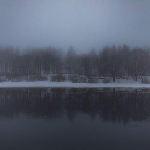 Photo #13406779