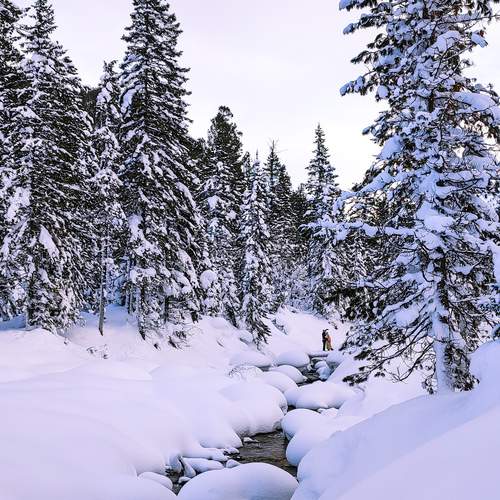 Photo #13406780
