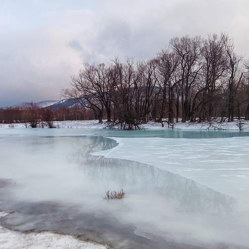 Photo #13406791
