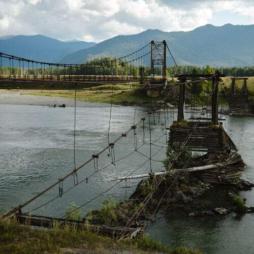 Photo #13406846