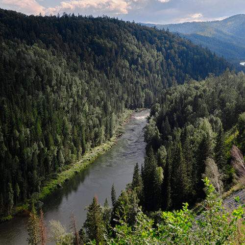 Photo #13406855
