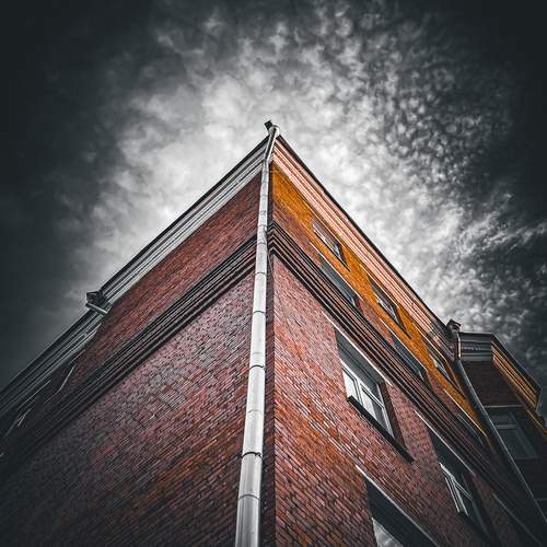 Photo #13407008