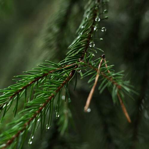 Photo #13407583