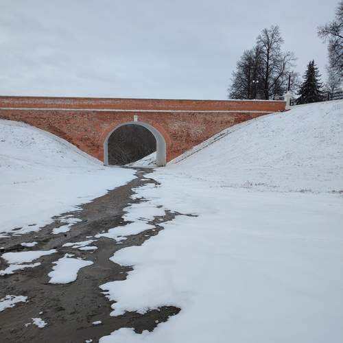 Photo #13407782