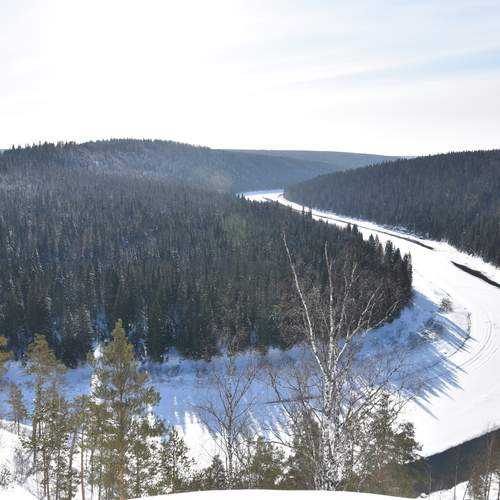 Photo #13407793