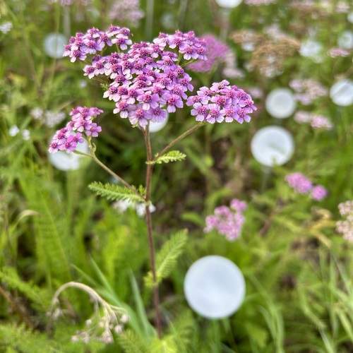 Photo #13407920