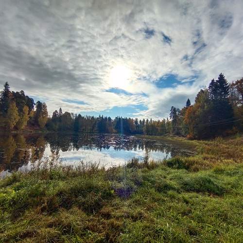 Photo #13407975