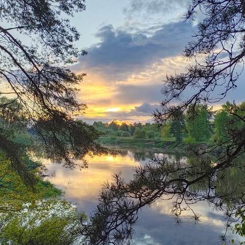 Photo #13407997
