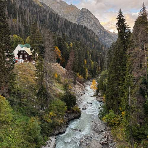 Photo #13408102