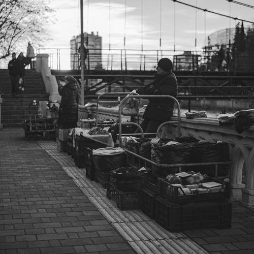 Photo #13408244