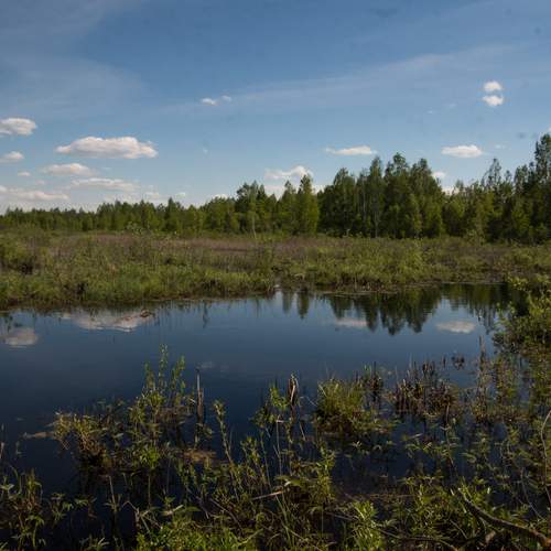 Photo #13408402