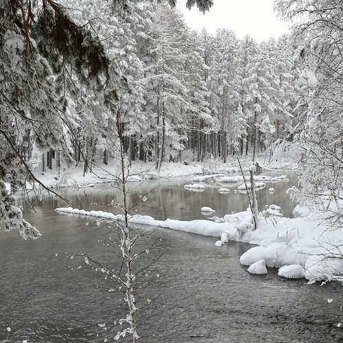 Photo #13408605