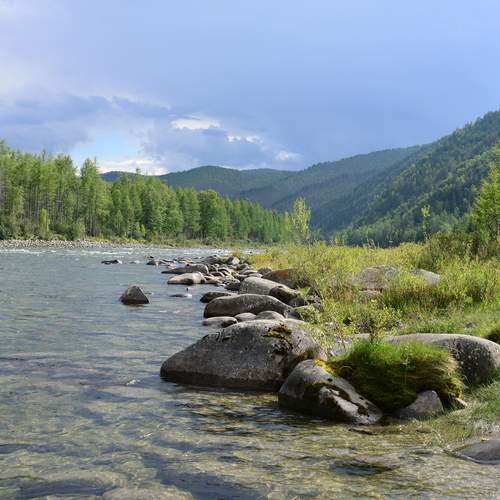 Урик