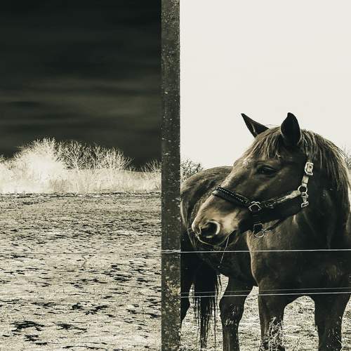 Photo #13408698
