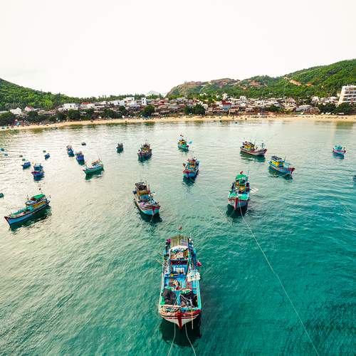 Photo #13408700