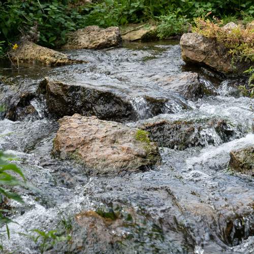 Photo #13408958
