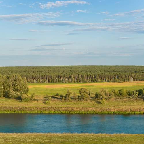Photo #13408987