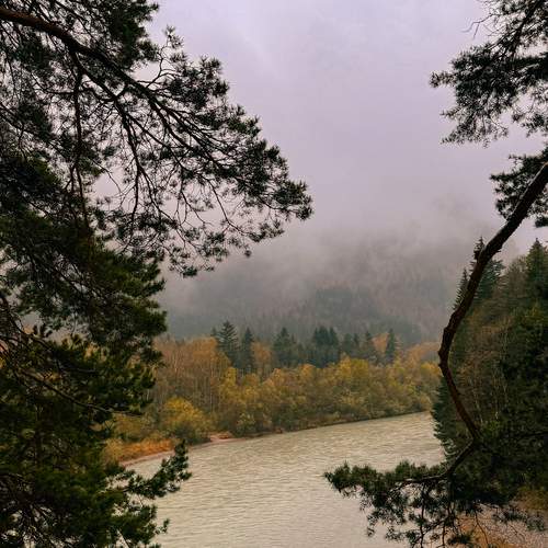 Photo #13409084