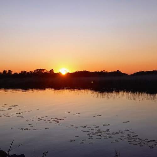 Photo #13409098