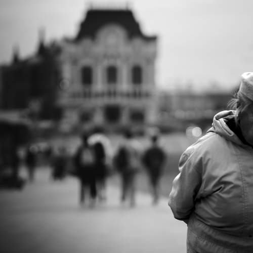 Photo #13409186