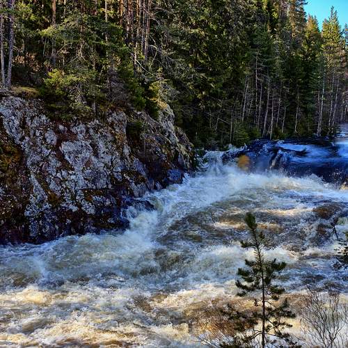 Photo #13409684