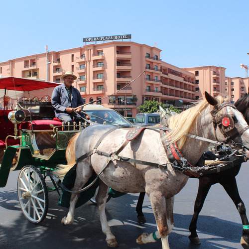 Photo #13409721