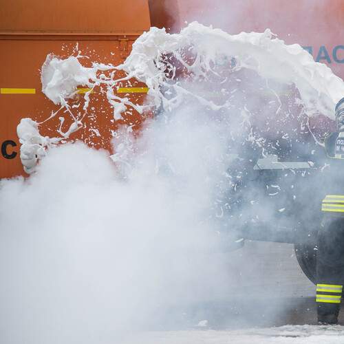 Photo #13409812