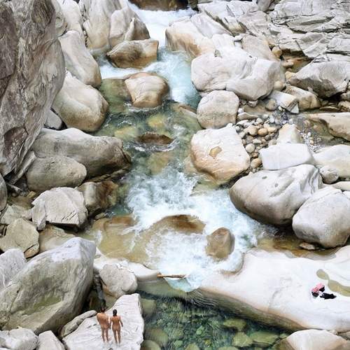 Photo #13409934