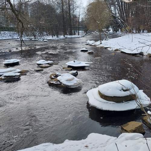 Photo #13409963