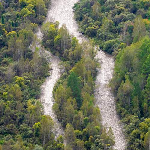 Photo #13410043