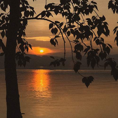 Photo #13410064