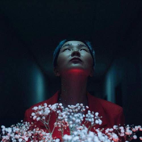 Photo #13410065