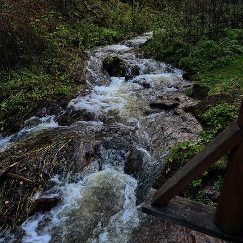 Photo #13410172