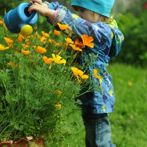 Photo #13410229