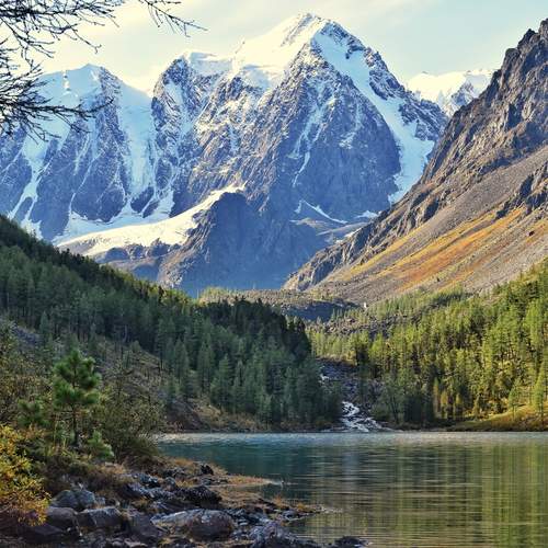 Photo #13410310