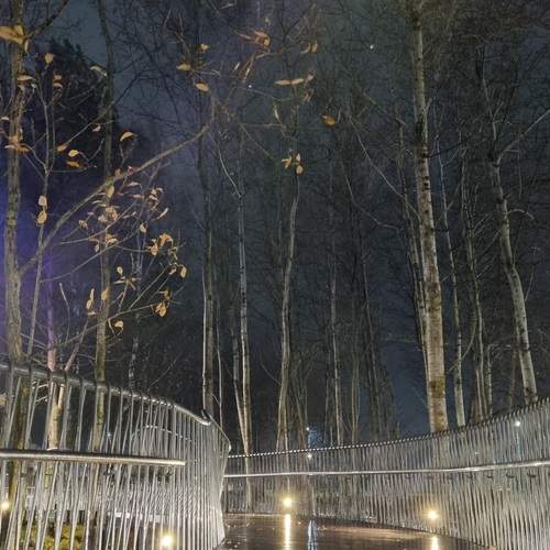 Photo #13410546